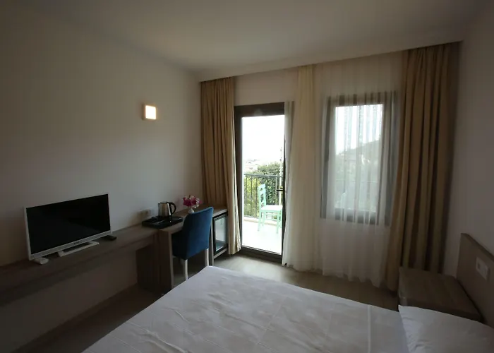 Aria Doria 2* דטקה