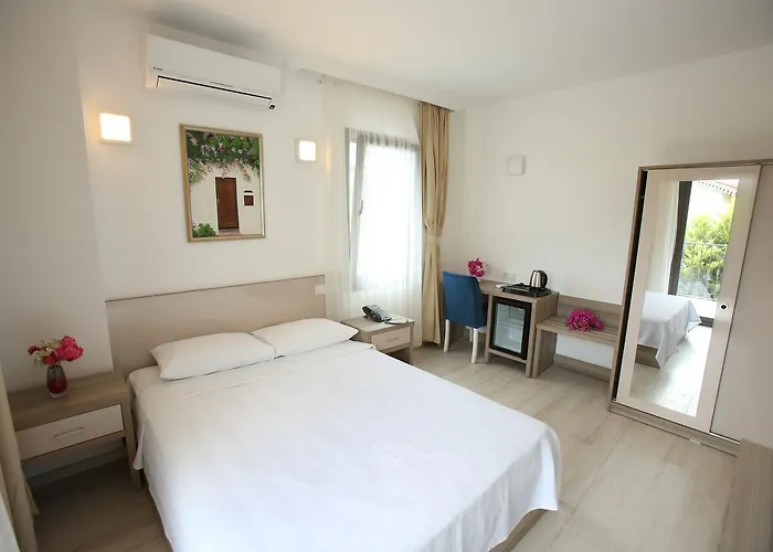 מלון Aria Doria 2*